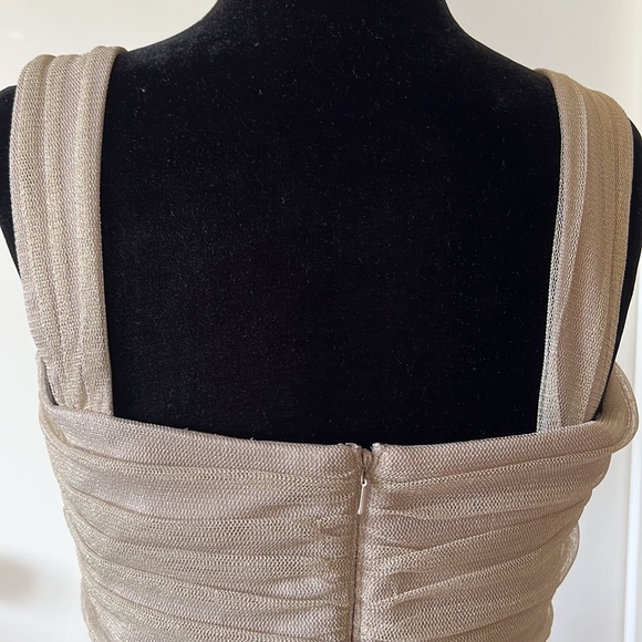 Tadashi Shoji Gold Mesh Sweetheart Dress 12 EUC - Picture 9 of 16